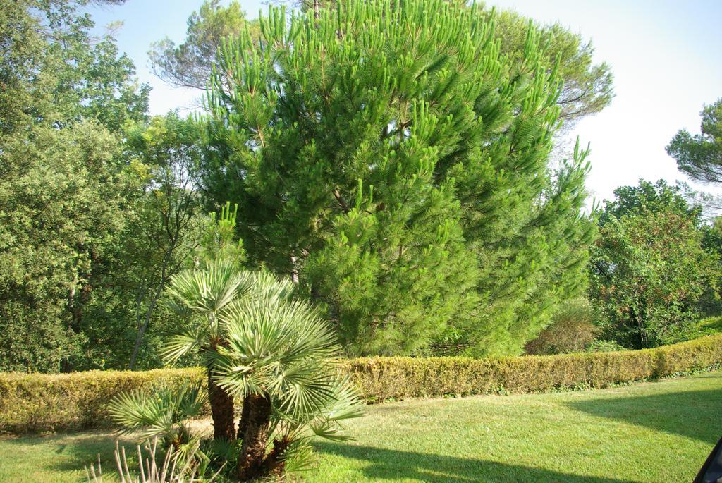 Domaine Les Cigales Bed & Breakfast Mouans-Sartoux Ruang foto