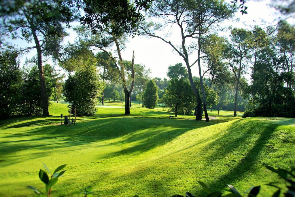 Domaine Les Cigales Bed & Breakfast Mouans-Sartoux Bagian luar foto